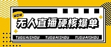 大飞无人直播硬核爆单技术，轻松玩转无人直播，暴利躺赚